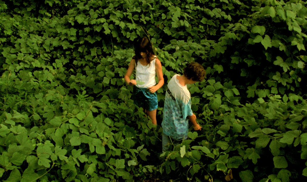 Two kids standing in a green field