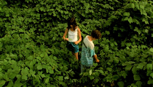 Two kids standing in a green field