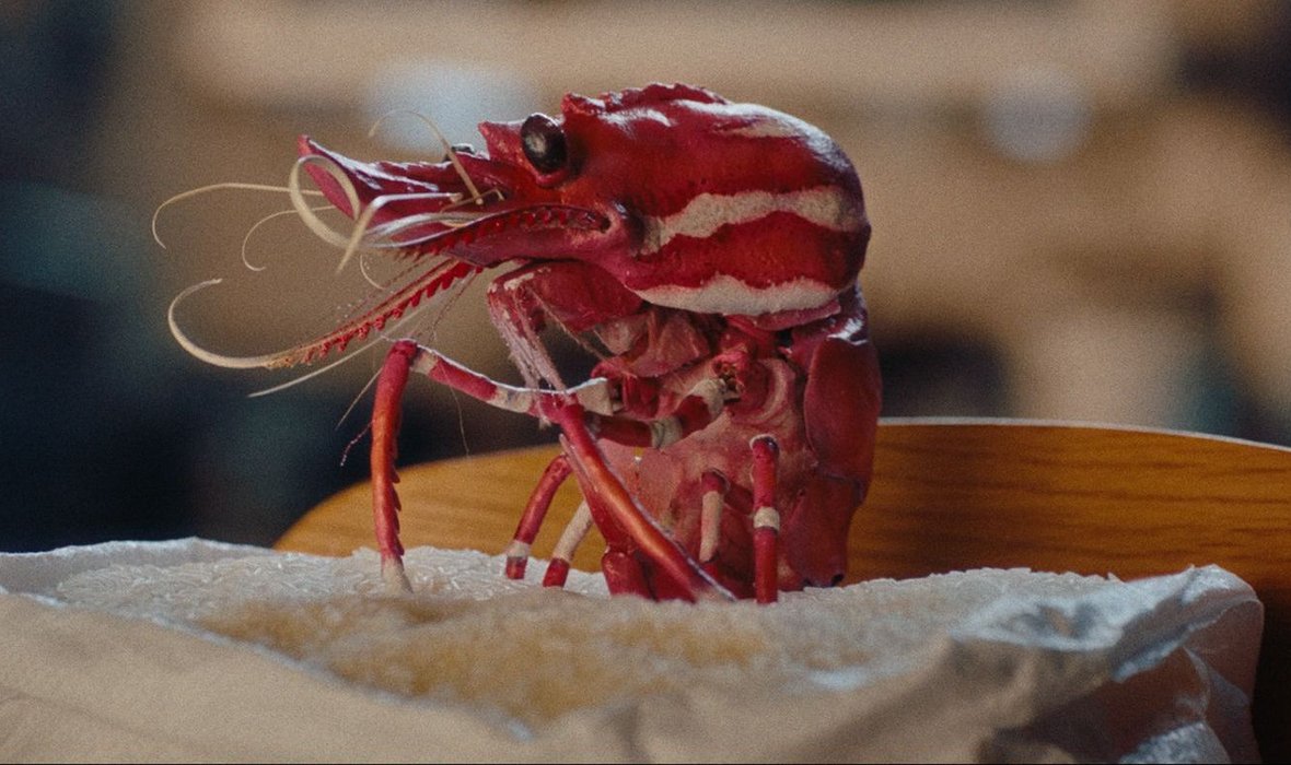 C_ShrimpFriedRice_Still1