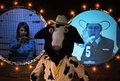 Cattle_Call_Stills_1_1_4