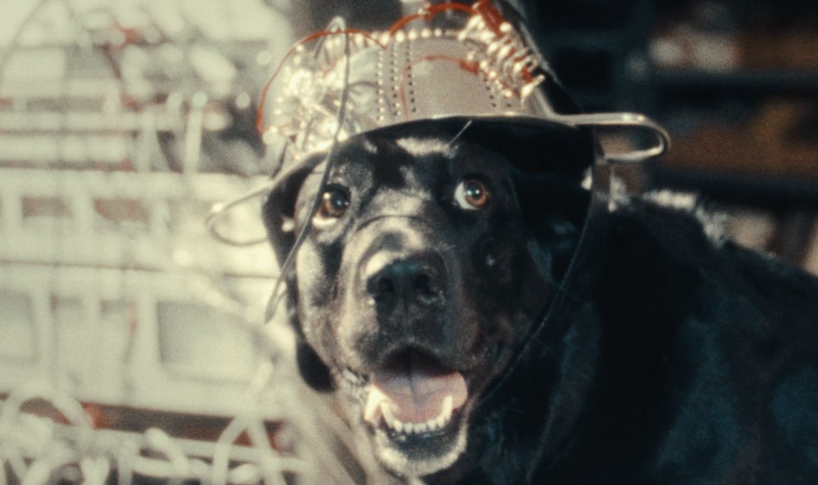 Screen_Shot_2025-12-19_at_12_53_48_PM_cropped_processed_by_imagy