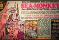 Sea_Monkeys_4