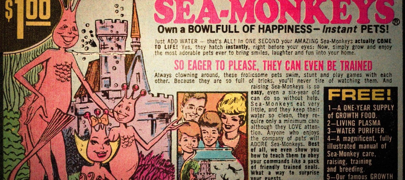 AMAZING LIVE SEA MONKEYS