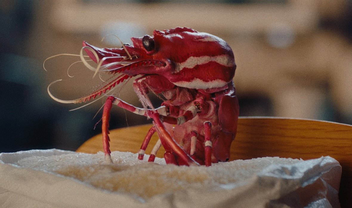 ShrimpFriedRice_Still1