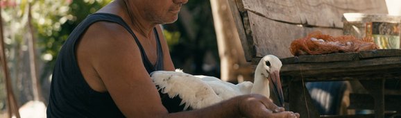 TheTaleOfSilyan_UHD_05