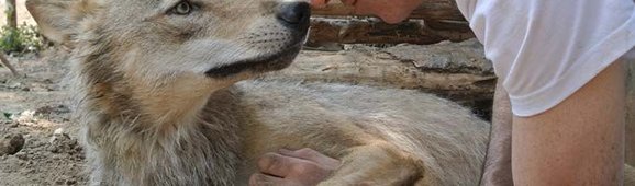 WUC_Official_Stills_LR1